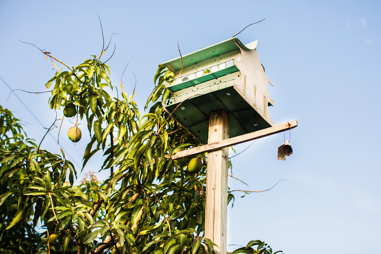 IMG_2289_arnolds_garden_2014